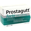 Dr Willmar Schwabe GmbH & Co KG PROSTAGUTT forte 160/120 mg Kapseln 120 St Dr Willmar Schwabe GmbH & Co KG PROSTAGUTT forte 160/120 mg Kapseln 120 St