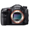 Sony SLT-A99V + Tamron 28-300mm Di VC PZD Sony SLT-A99V + Tamron 28-300mm Di VC PZD