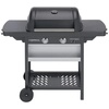 Campingaz Gasgrill 2 Series Classic L Campingaz Gasgrill 2 Series Classic L