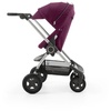 Stokke Scoot V2 Purple Stokke Scoot V2 Purple