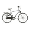 GAZELLE Chamonix C8 28 Zoll RH 53 cm grau/silber GAZELLE Chamonix C8 28 Zoll RH 53 cm grau/silber