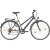 VCM Trekkingrad 28 Zoll RH 48 cm Damen grau VCM Trekkingrad 28 Zoll RH 48 cm Damen grau