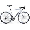 Merida Scultura 904 28 Zoll RH 56 cm weiß/schwarz/blau Merida Scultura 904 28 Zoll RH 56 cm weiß/schwarz/blau
