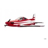 ROBBE Pilatus PC21 Nano-Racer RC Flugzeug ROBBE Pilatus PC21 Nano-Racer RC Flugzeug